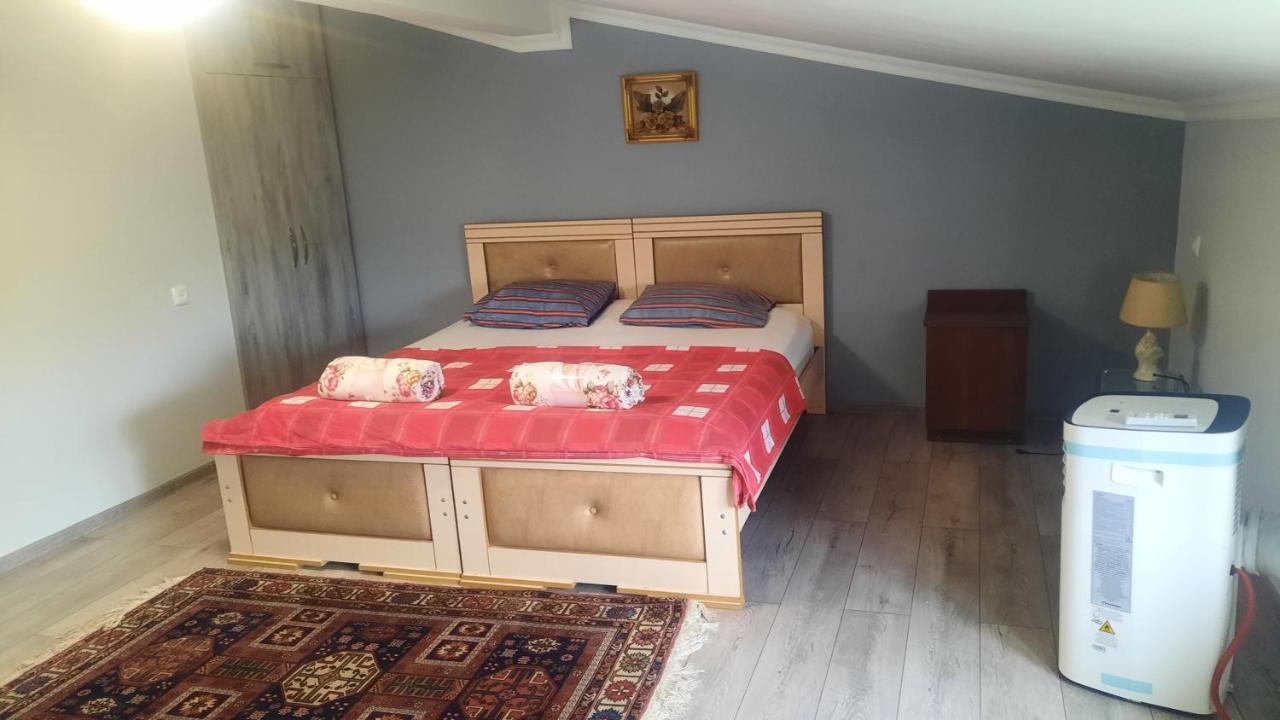 Victoria Guesthouse Kutaisi Pokoj fotografie